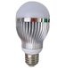 910 lm LED Bulb
