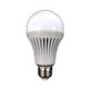 1200 lm LED Bulb